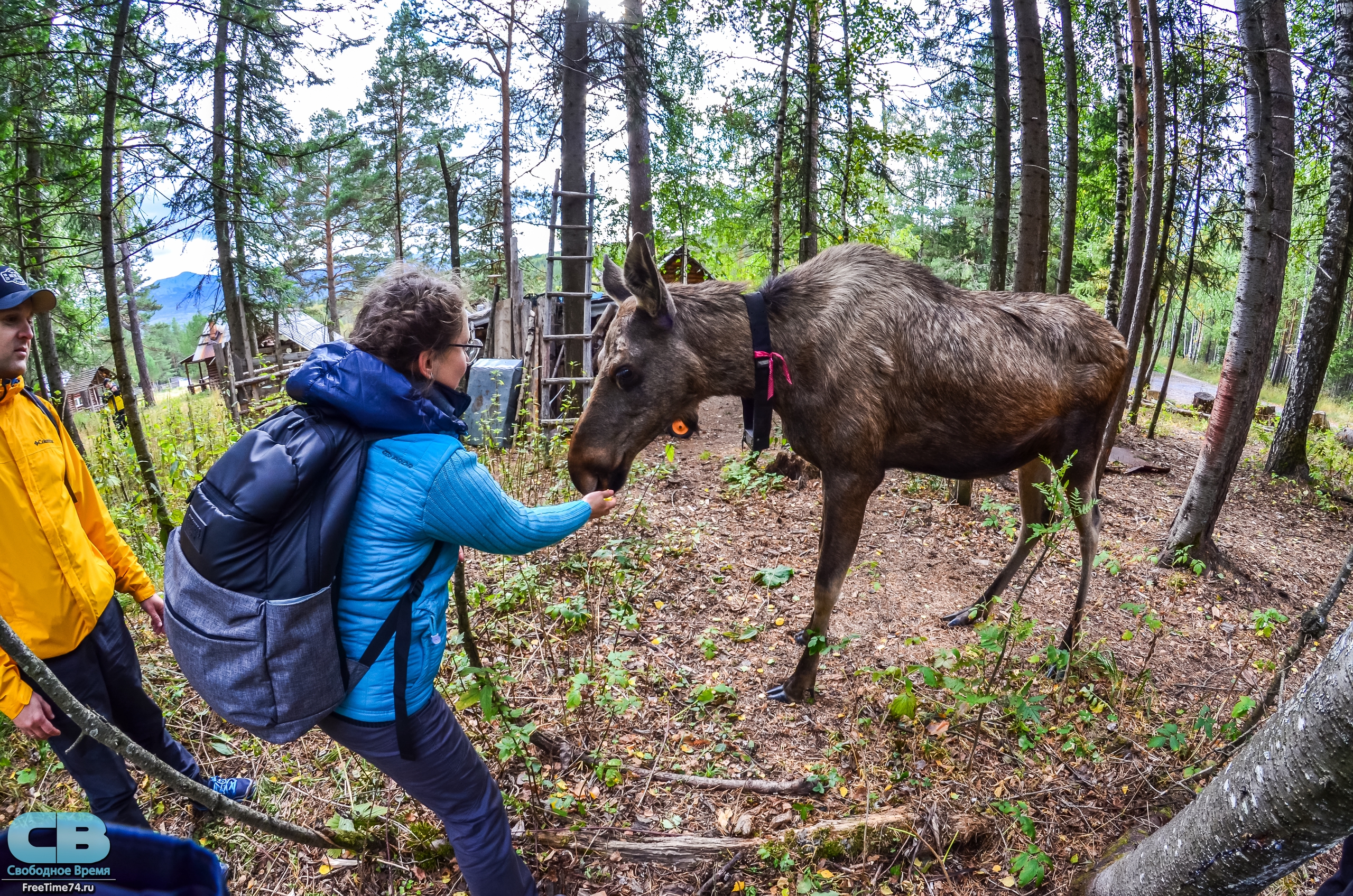 Автобусный тур